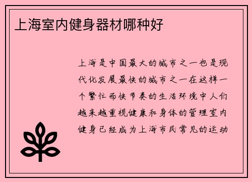 上海室内健身器材哪种好