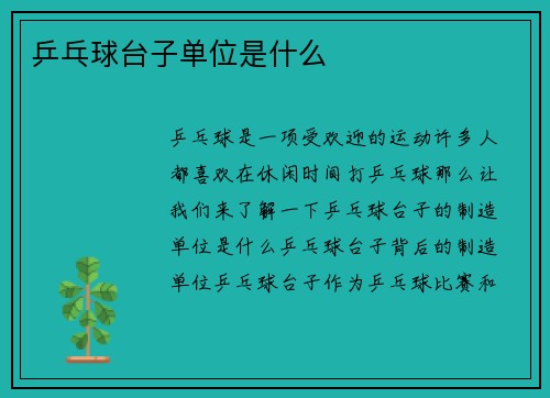 乒乓球台子单位是什么