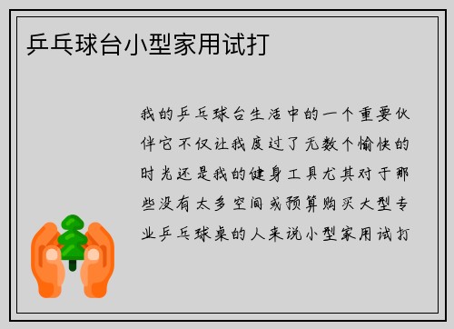 乒乓球台小型家用试打