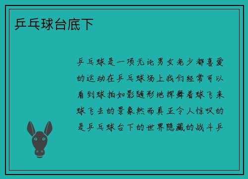 乒乓球台底下
