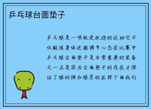 乒乓球台面垫子