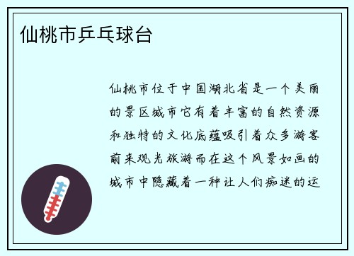 仙桃市乒乓球台